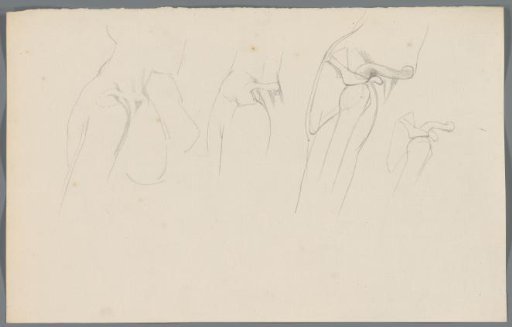 Study of the shoulder joint