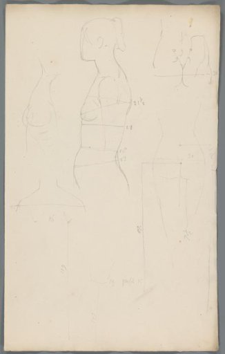 Proportion studies of a woman
