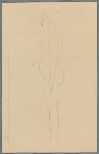 Proportion study of a woman