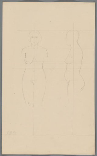 Proportion study of a woman