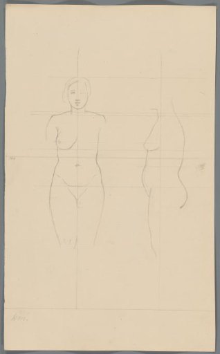 Proportion study of a woman
