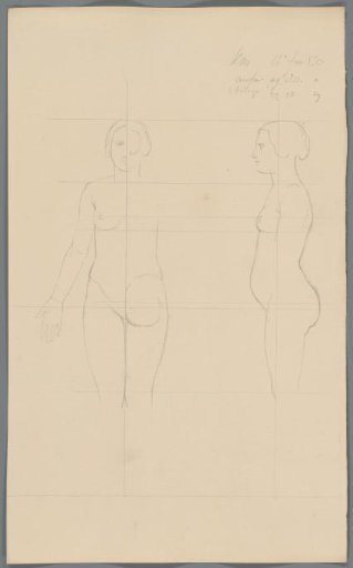 Proportion study of a woman