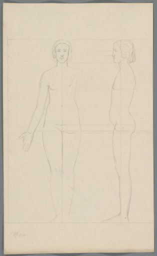 Proportion study of a woman