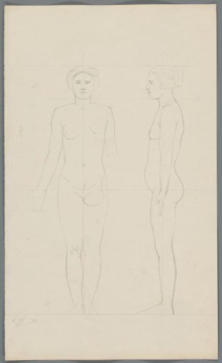 Proportion study of a woman