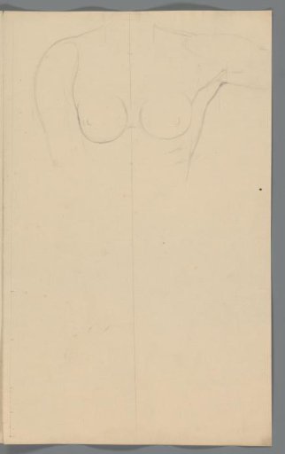 Study of a woman's bare upper body