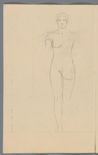 Proportion study of a woman