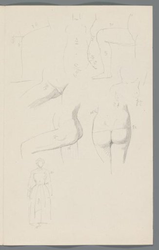 Study of buttocks and thighs