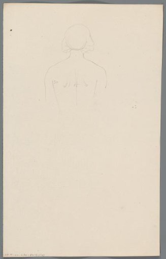 Proportion study of the upper back of a woman