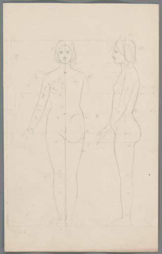 Proportion Study of a Woman