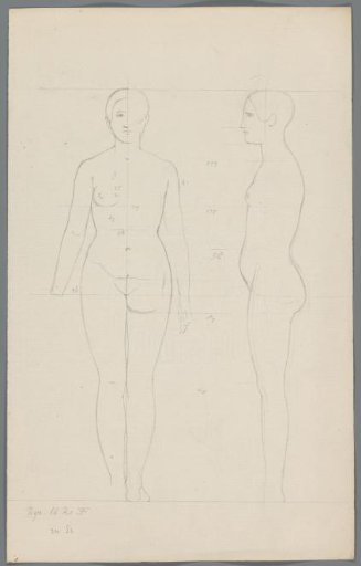 Proportion study of a woman