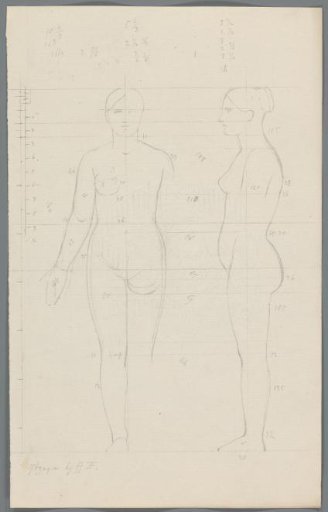Proportion study of a woman