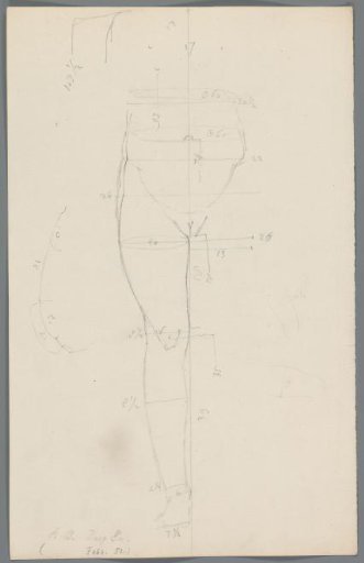 Study of the lower body of a woman