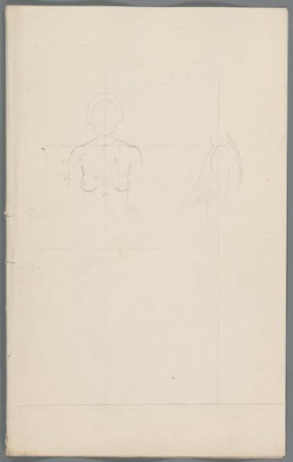 Proportion study of the upper body of a woman
