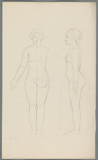 Proportion study of a woman
