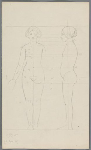 Proportion study of a woman