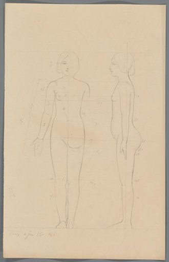 Proportion study of a woman