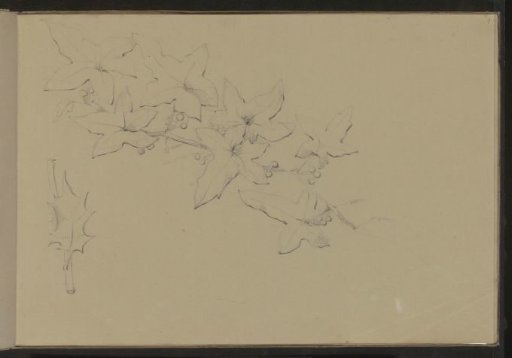 Branch with leaves and berries