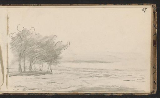 Landscape with trees and water