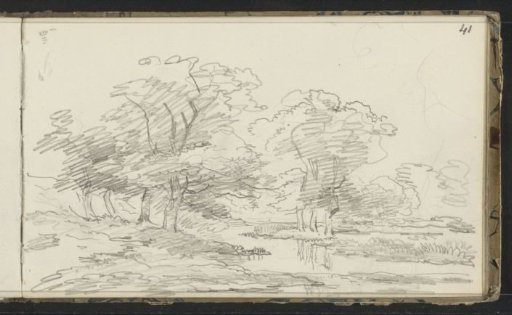 Trees at a waterfront