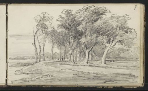 Landscape with trees