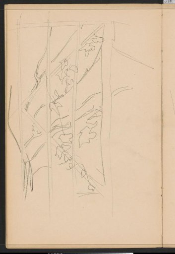 Stems of a plant