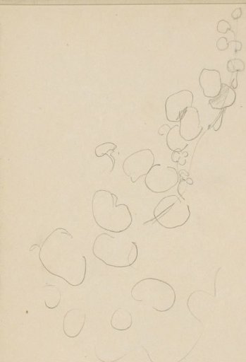 Stem with flower buds