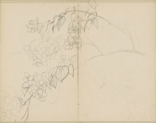 Branches with blossoms