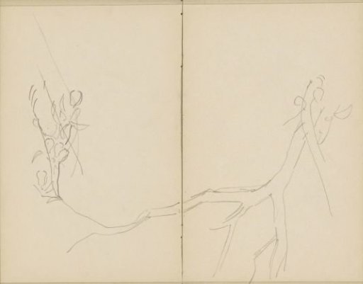 Tree branch with leaves