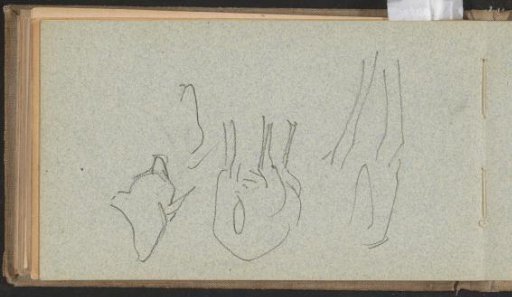 Animal, possibly a sheep or cow