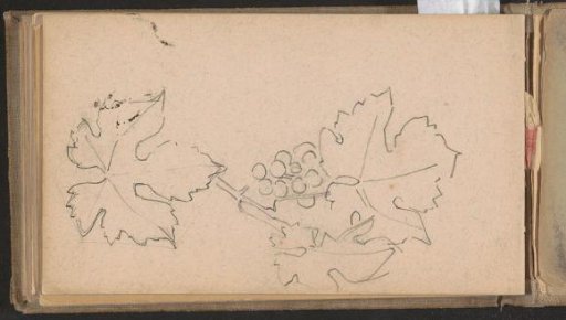 Grape cluster and grape leaves