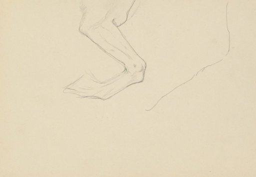 Bent leg of a horse