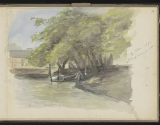 Trees by the Water