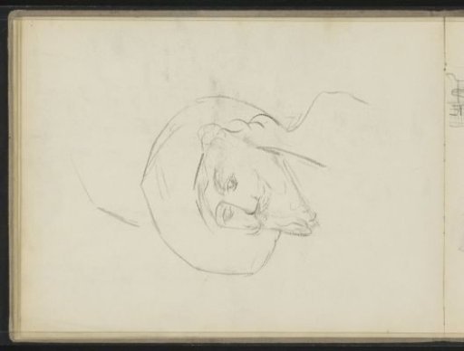 Man with a Beard and Turban