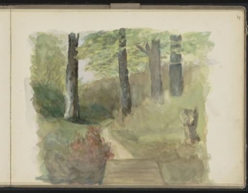 Forest Path