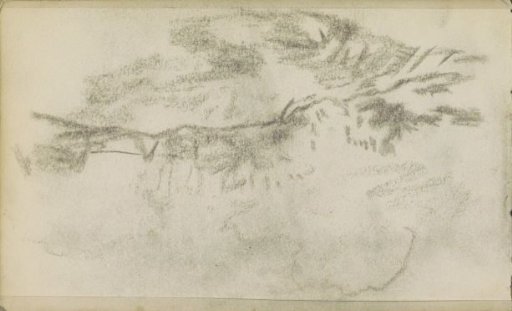 Landscape with bushes