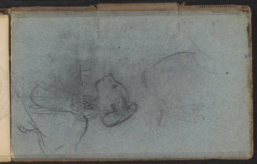 Head of a woman with hair raised