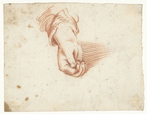 Study of a closed hand