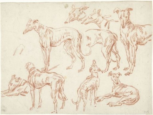 Nine Studies of a Greyhound