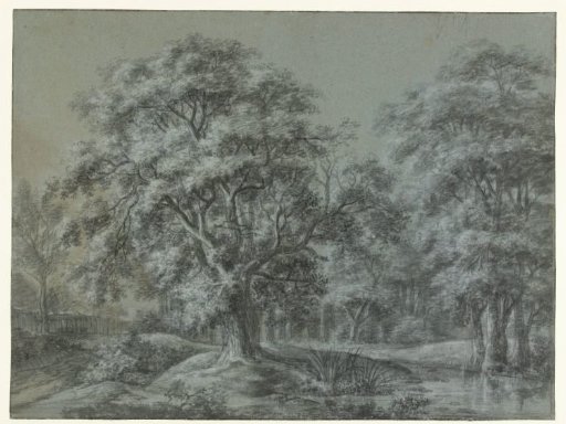 Wooded landscape with a body of water