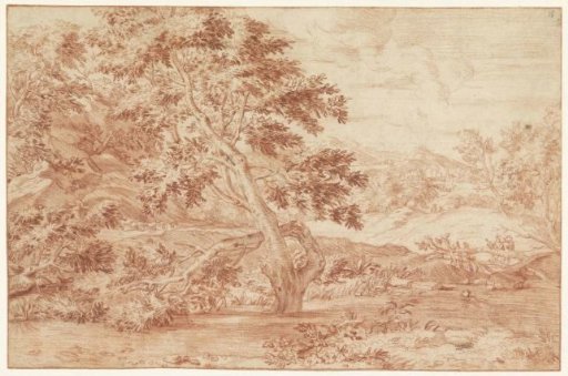 Landscape with a tree in the water