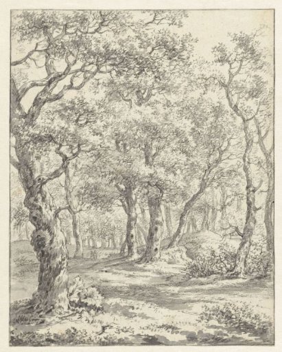 Wooded landscape