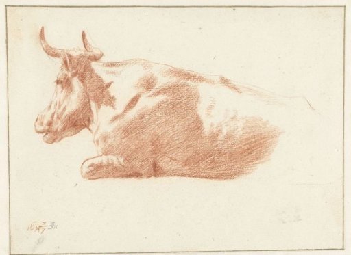 Resting Cow