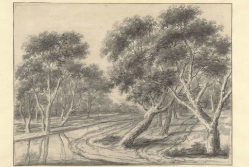 Wooded Landscape