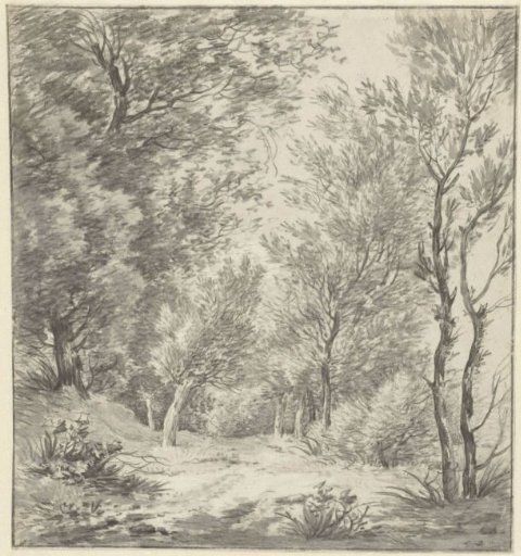 Trees along the Amstelveense Weg