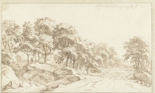 Wooded Landscape along a Wide Road near Hamburg