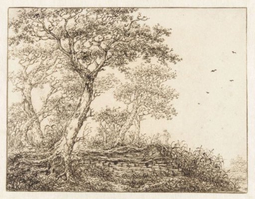 Several Trees by a Wall