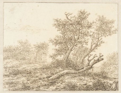 The Dead Tree