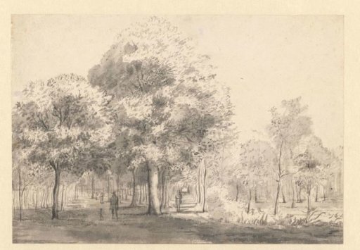 View of the Haarlemmerhout, Haarlem