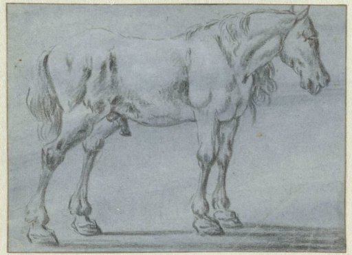 Standing horse, facing right