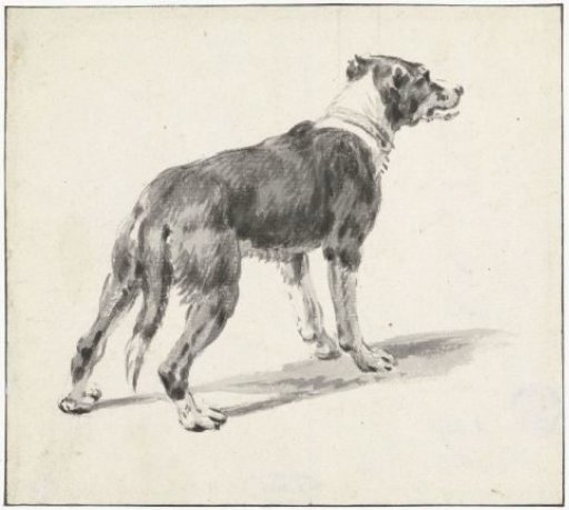 Standing dog, facing right